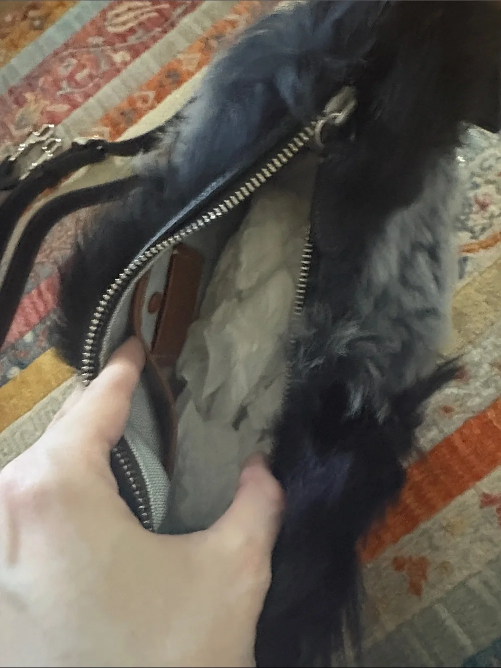 Coach Shearling Juliet